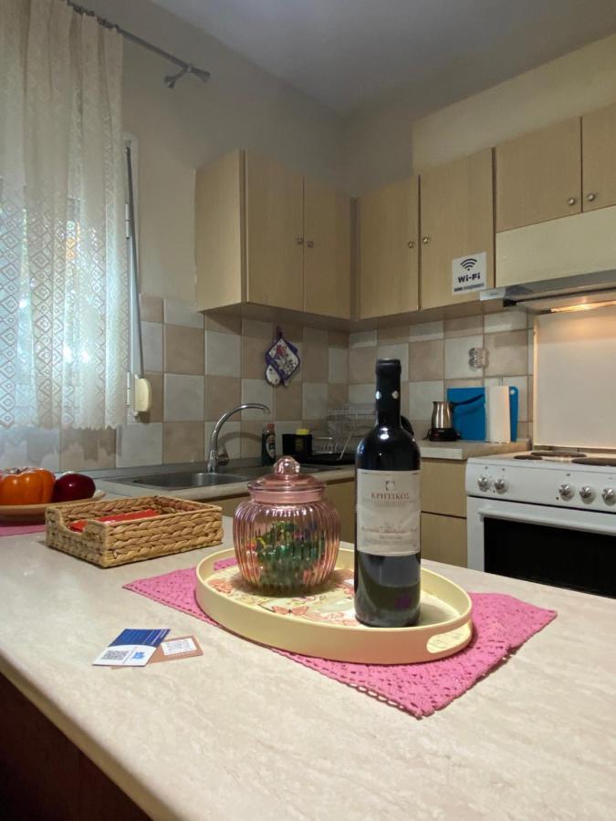 Cozy And Quiet Mini City Apartment Trikala (Thessaly) Exterior photo